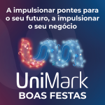 Banner_Liderança no Feminino_300x250